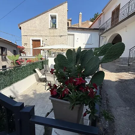 Particolari Nel Cilento *